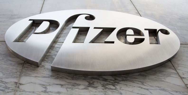 pfizer Pfizer Robotics Team Building