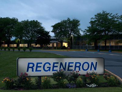 regeneron Pharma Team Building